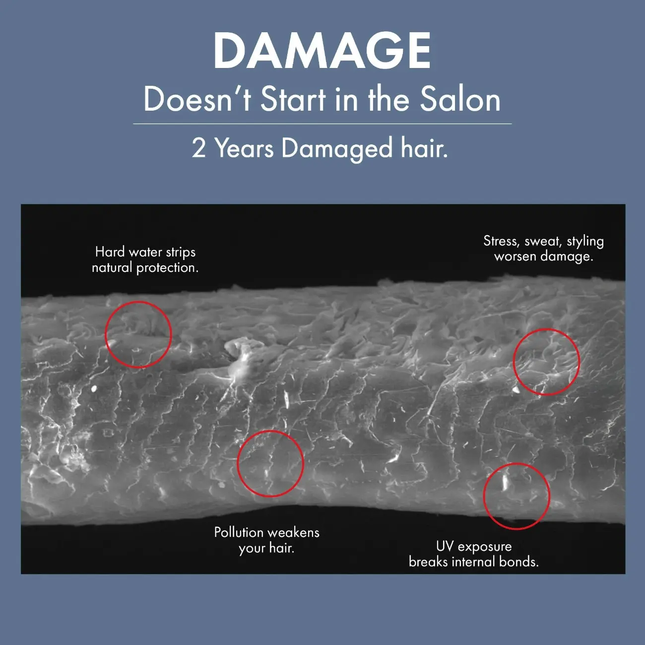 Hair Healing Ultra Conditioner, 250ml - Image 4