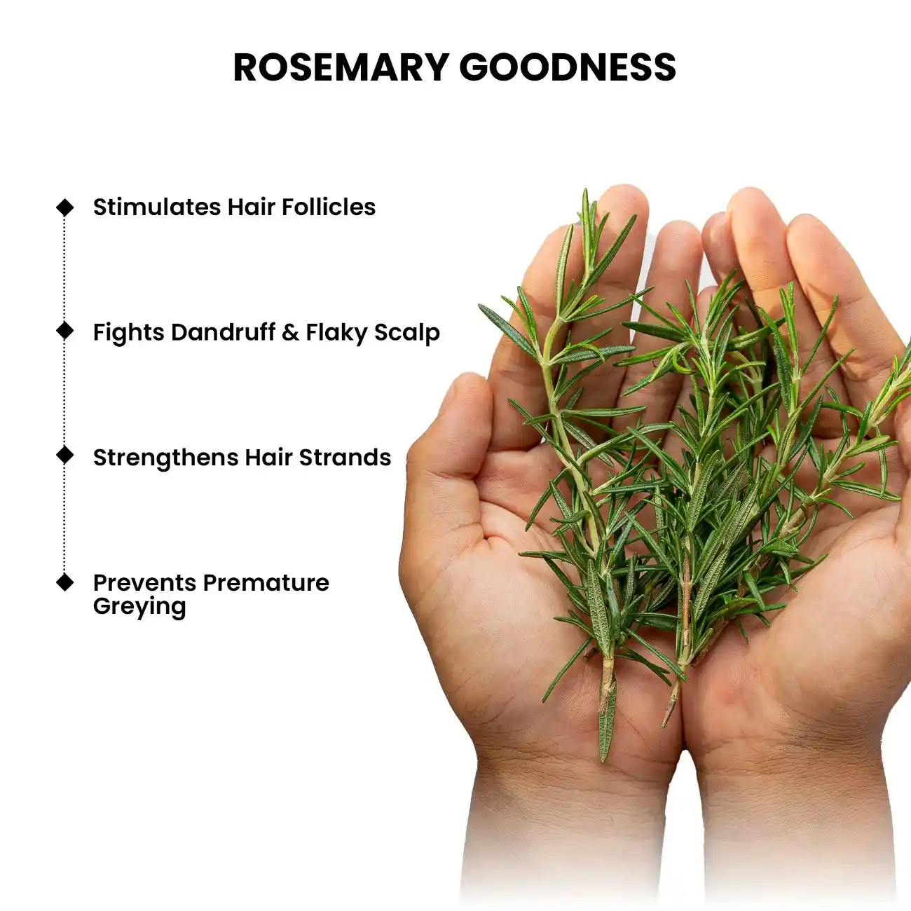Rosemary Shampoo, 250ml - Image 4