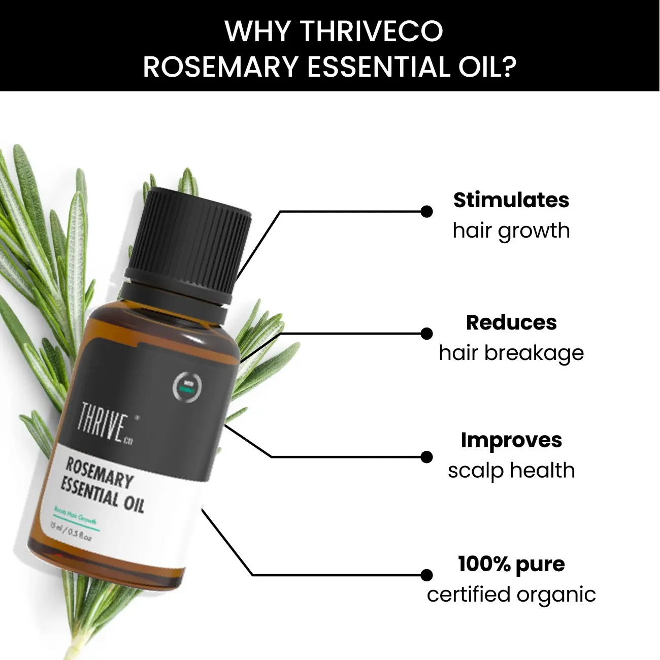 Rosemary Essential Oil, 15ml - Image 4