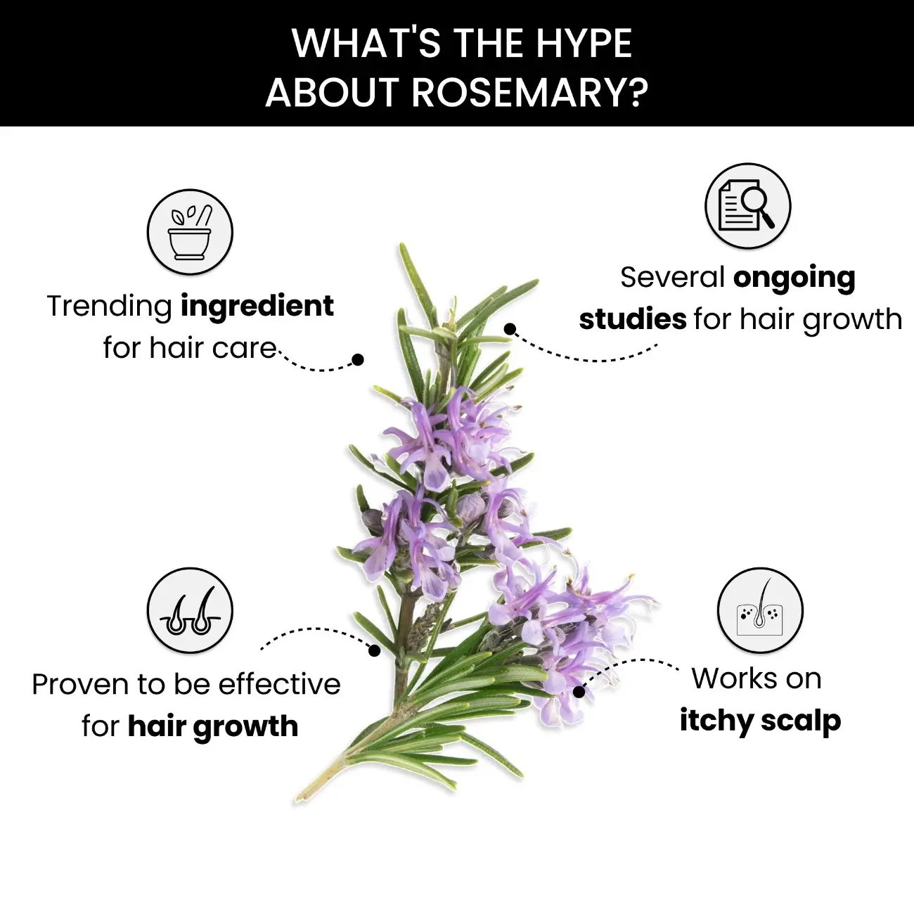 Rosemary Essential Oil, 15ml - Image 5