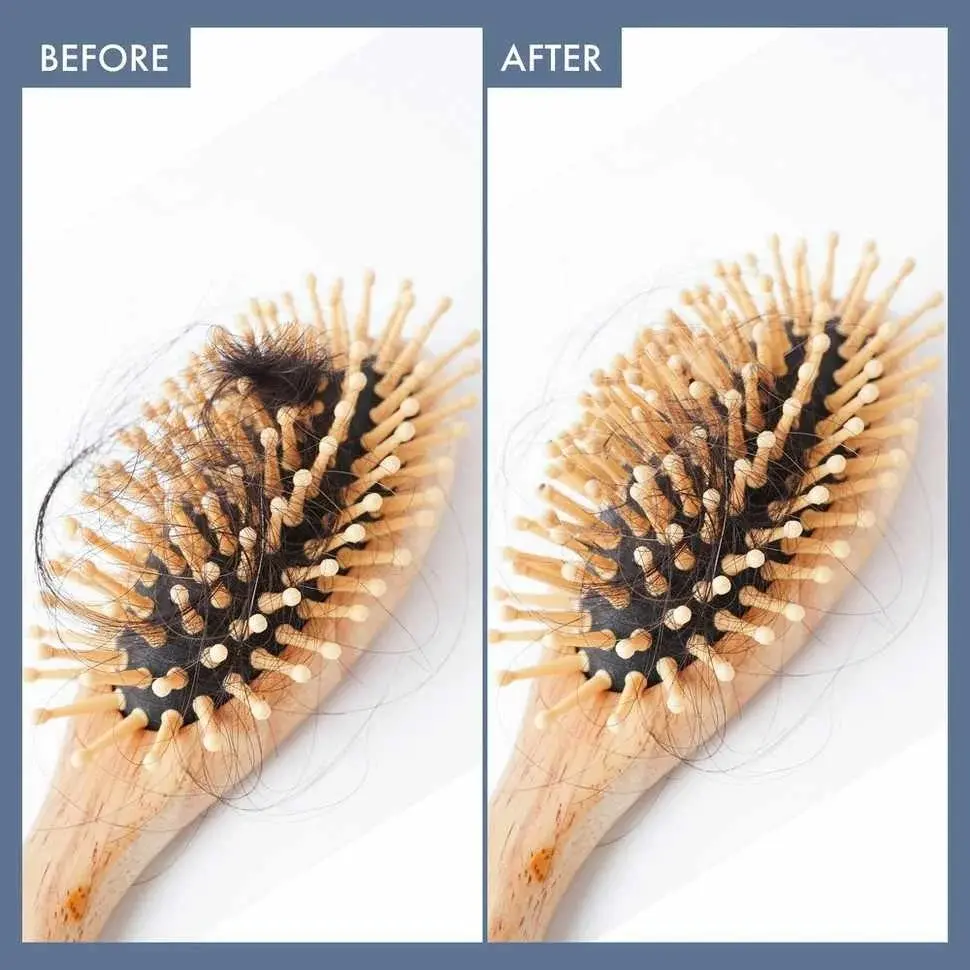 Rosemary Shampoo (250ml) + Rosemary Conditioner Combo (250ml) - Image 10