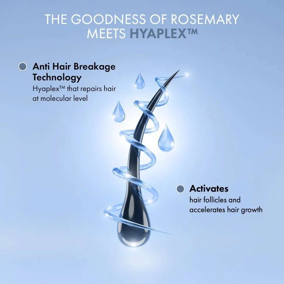 Rosemary Shampoo (250ml) + Rosemary Conditioner Combo (250ml) - Image 5